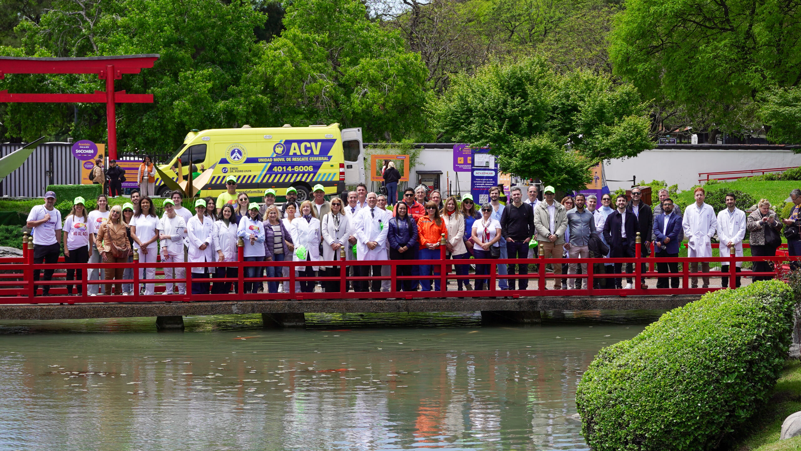 29 de Octubre: Día Mundial de La Lucha Contra el ACV